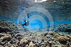 Scubadiving and coral