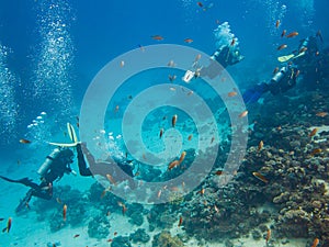 Scubadiving in Red Sea, Egypt, Sinai peninsula