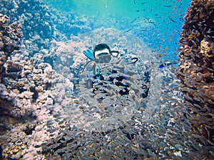 Scubadiving in Red Sea, Egypt, Sinai peninsula photo