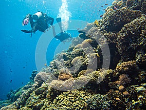 Scubadiving in Red Sea, Egypt, Sinai peninsula