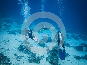 Scubadiving in Red Sea, Egypt, Sinai peninsula photo