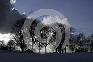 Scudding clouds over trees photo