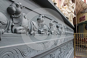 sculpted cows in an hindu temple (sri senpaga vinayagar) - singapore photo