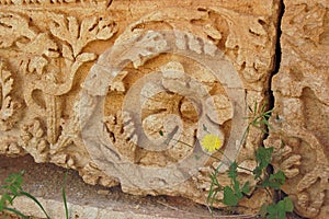 Sculpted floral bas relief frieze, Leptis Magna, Libya