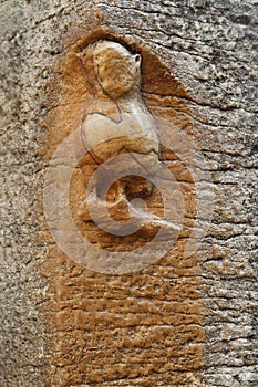 Sculpted owl of Church of Notre-Dame, Dijon, France photo