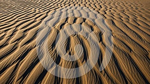 Sculpted sand dunes create intricate undulating patterns across the