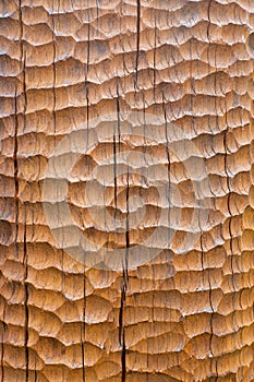 Sculpted wood background