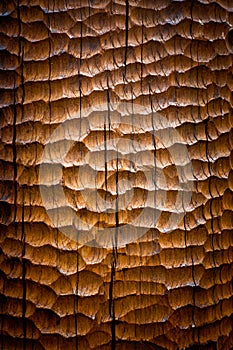 Sculpted wood background