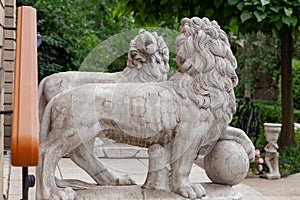 Sculptural group of stone lions stands on the steps
