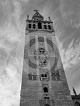 majestic tower view in Seville cathedral in black and white photo