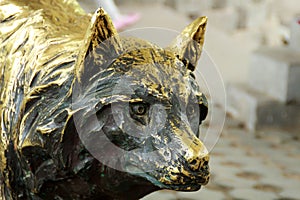 Sculpture of bronze wolf.