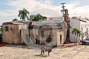 Sculpture of the bull. Modern art. Santo Domingo, Dominican Republic