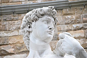 The sculpture of David