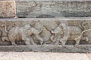 Sculpture if dueling elephants, Hampi