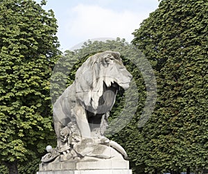 Sculpture lion