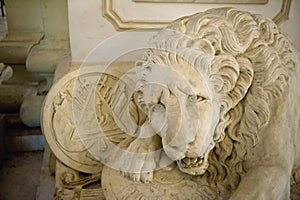 Sculpture of lion in cathedral