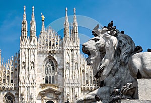 Sculpture of a lion in front of the Milan Cathedral