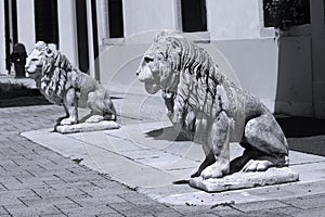 Sculpture of lion in Italian garden