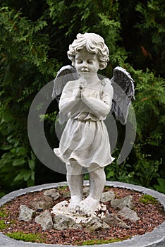 Sculpture of a little angel in the rain in the garden of the convent.