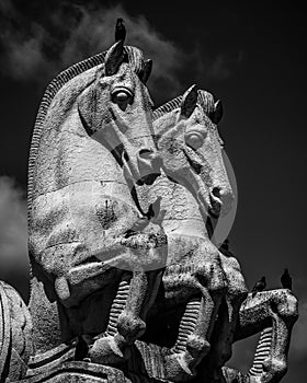 Sculpture, Monochrome, horses, BlackandWhite photo