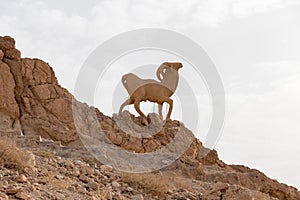 Sculpture of a mountain goat in Atlas mountain