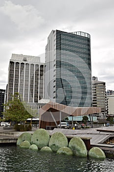 Sculpture Nga Kina Kumutoto Wellington Waterfront