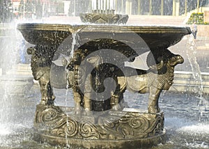 Sculpture of rams in the fountain. Kyzyl.