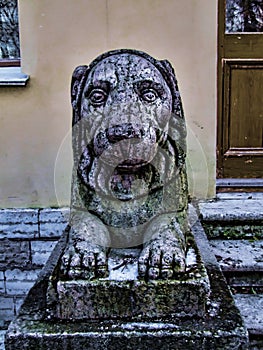 Sculpture of a reclining lion on the square at the Pavlovsk Palace in Pavlovsk, Saint Petersburg, Russia