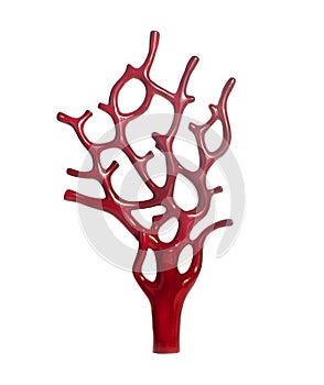 Sculpture of red coral photo