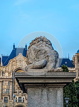 Sculpture of a stone lion on the Chain Bridge in Budapest