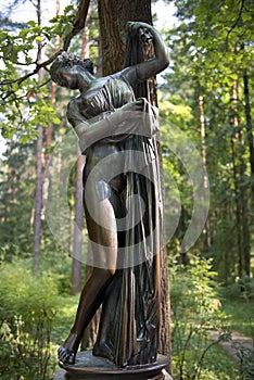 Sculpture Venus Callipyge, goddess of love and beauty, Pavlovsk Park