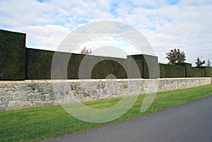 Sculptured hedge of Powis Castle walled garden in England