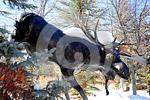 Sculptured Moose Coming out of the forest and snow.