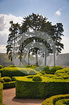 Sculptured Trees and Bushes in the Garden of Marqueyssac