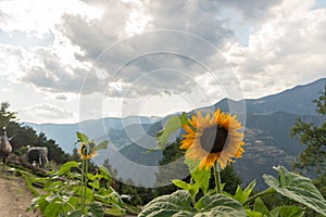 Sculptures in Jardins de Juberri in summer 2020 in the Pyrenees of Andorra