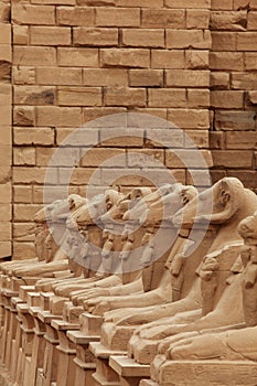 Sculptures at Karnak temple