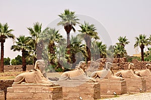 Sculptures in serial form in Cairo