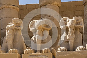 Sculptures of sphinxes-rams. Close-up. Full-face view.