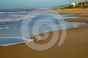 Scurrying to find breakfast on the incoming tide, RJ, Brazil