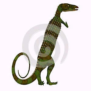 Scutellosaurus Dinosaur Tail