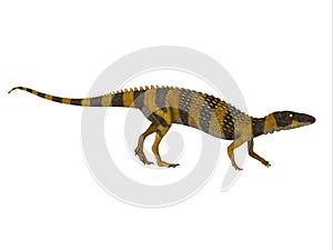 Scutellosaurus Dinosaur Walking photo