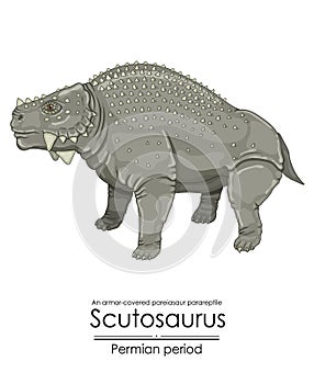 Scutosaurus, a prehistoric parareptile photo