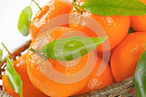 Scuttle of ripe tangerines