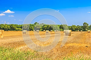 Scythed corn field with bales of strow