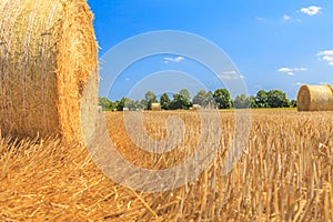 Scythed corn field with bales of strow