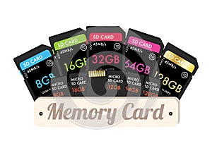SD and Micro SD memory card