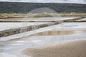 SeÄovlje Salina Landscape Park