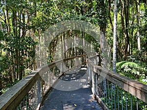 Sea Acres Rainforest boardwalk and Port Macquarie