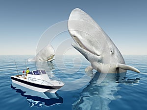 Sea angler and sperm whales