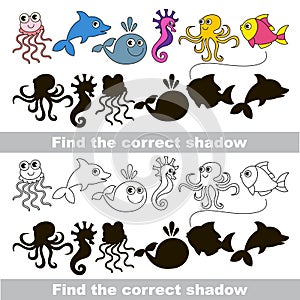 Sea animal collection. Find correct shadow.